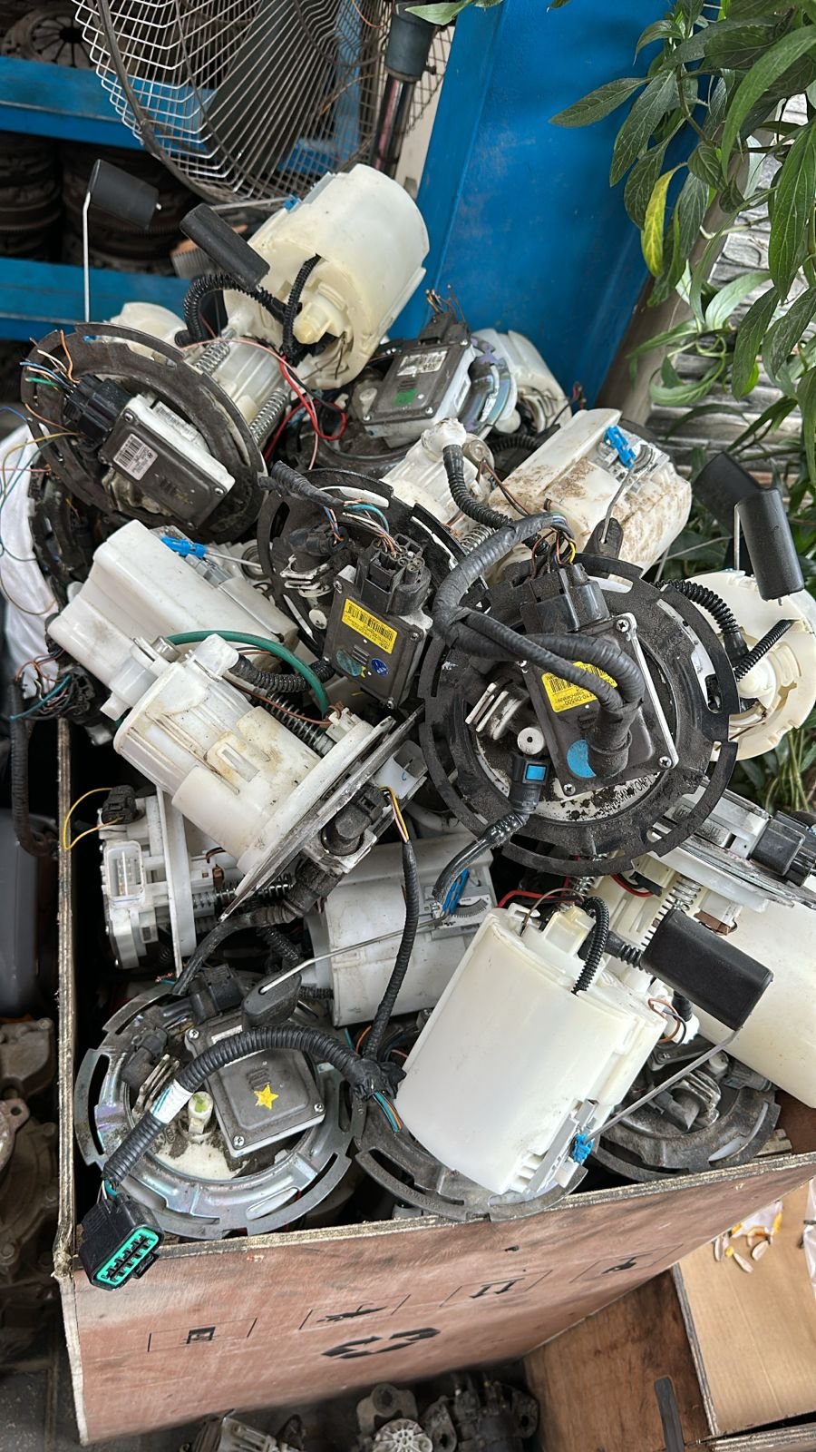 Image gallery marquee